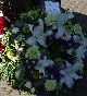 UNISON's wreath